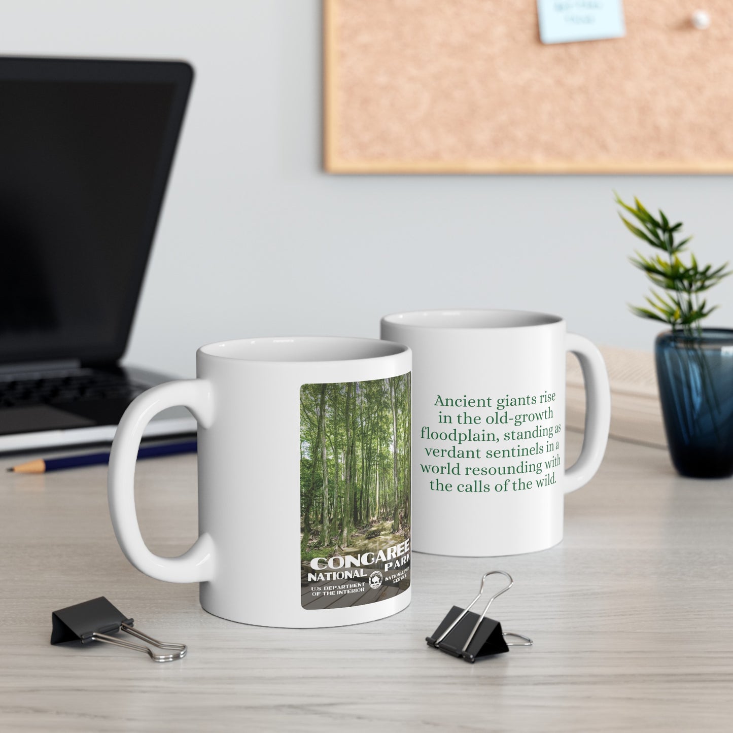 Congaree National Park Ceramic Mug