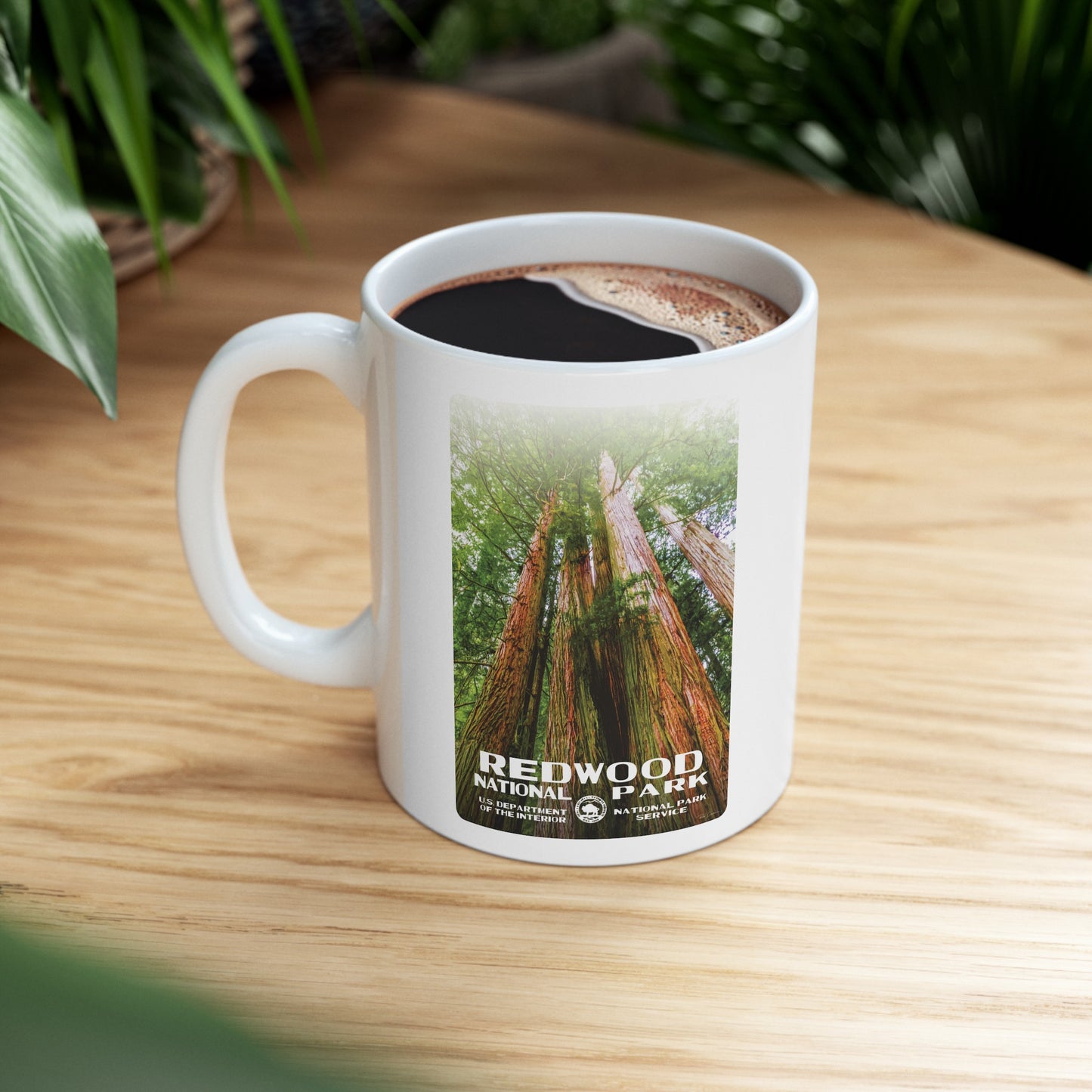 Redwood National Park Ceramic Mug