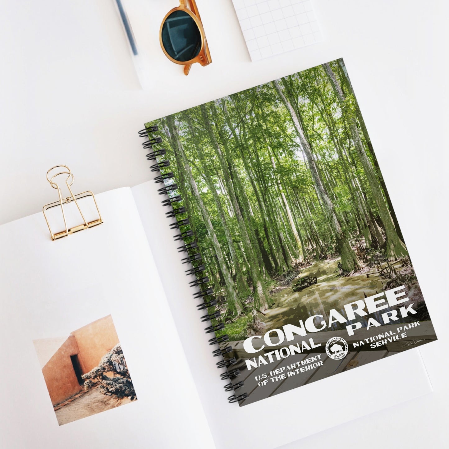 Congaree National Park Field Journal