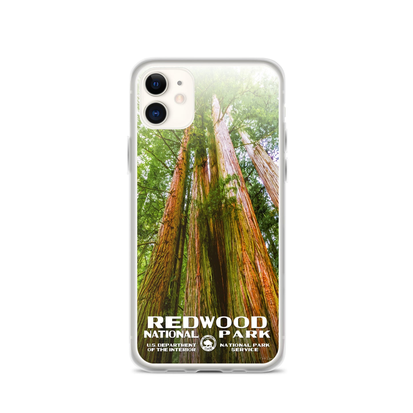Redwood National Park iPhone® Case