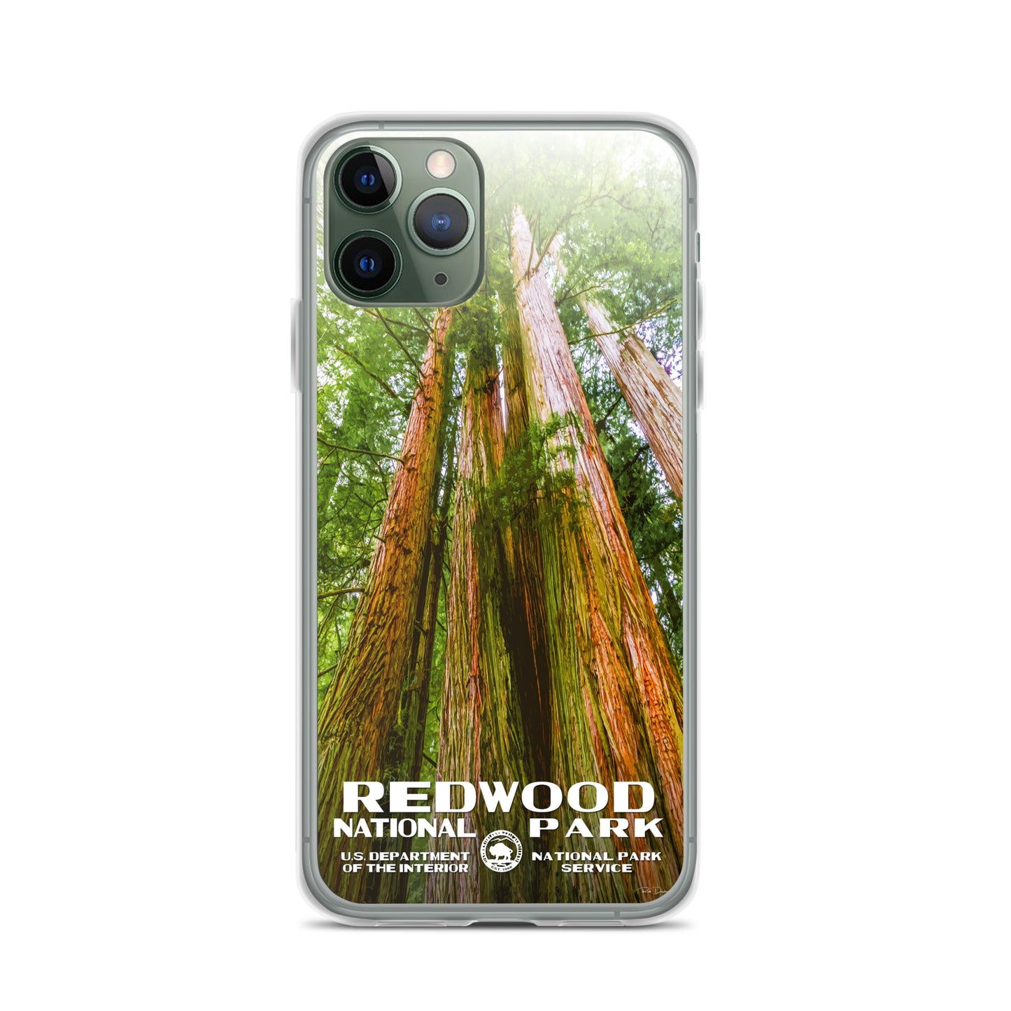 Redwood National Park iPhone® Case