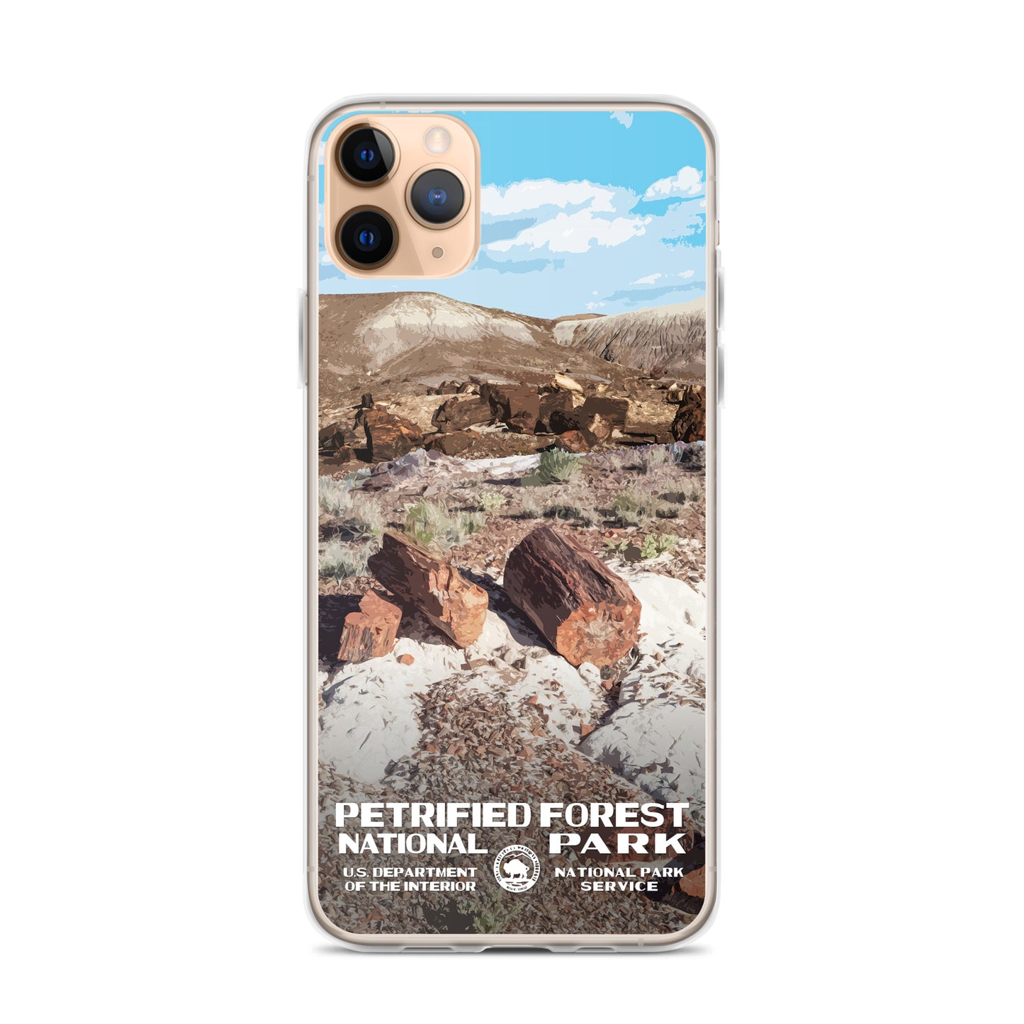 Petrified Forest National Park iPhone® Case