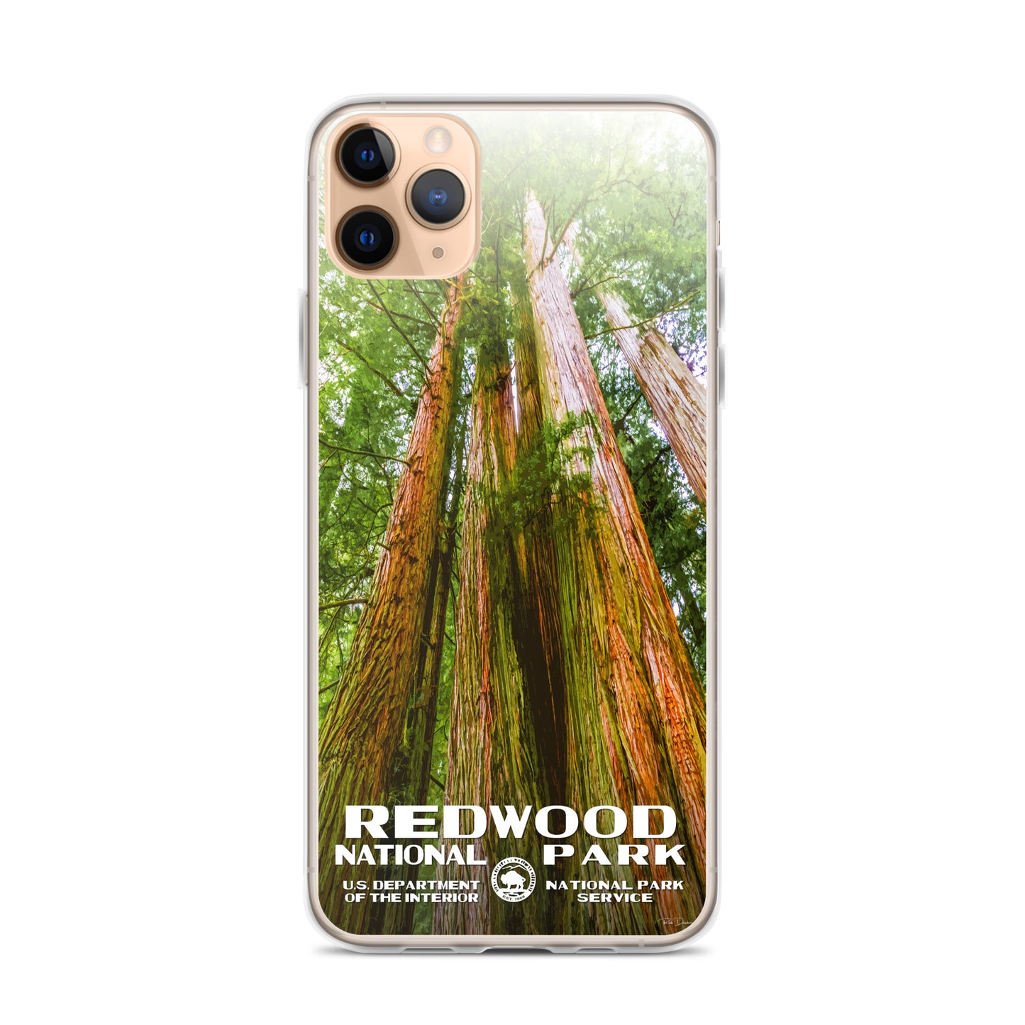 Redwood National Park iPhone® Case