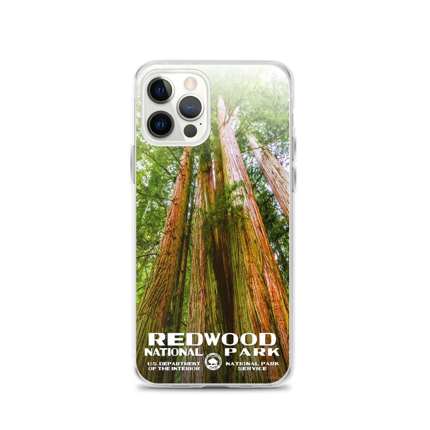 Redwood National Park iPhone® Case