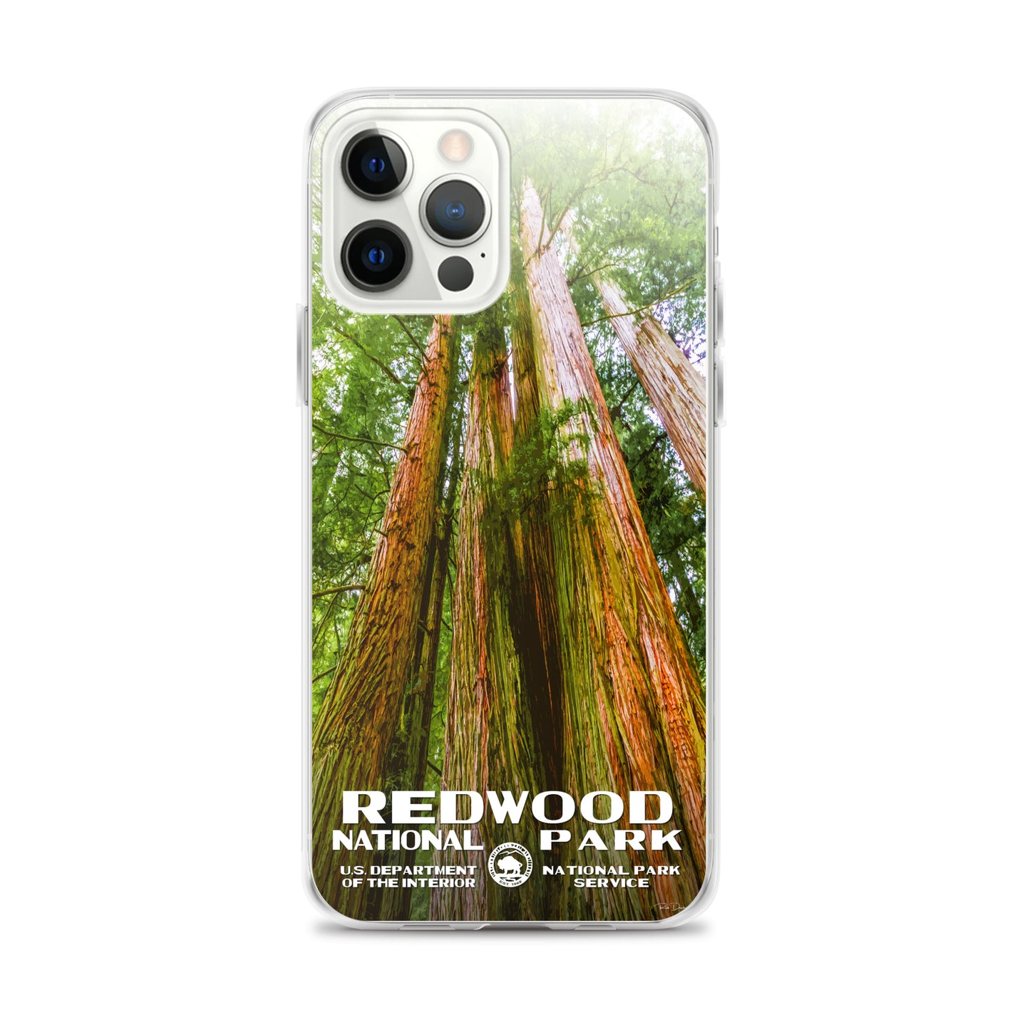 Redwood National Park iPhone® Case