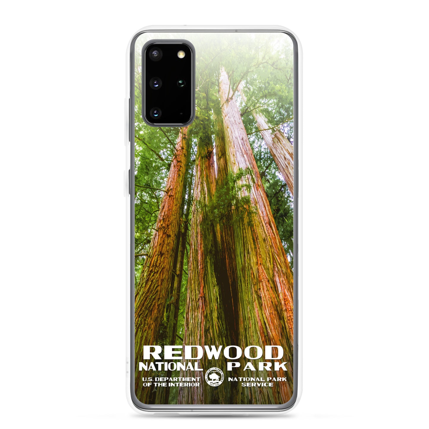 Redwood National Park Samsung® Phone Case