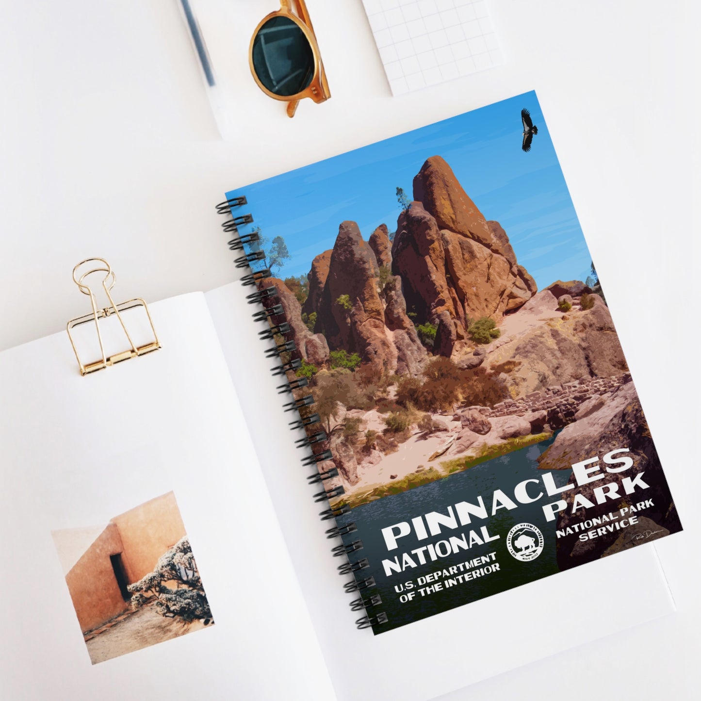 Pinnacles National Park Field Journal