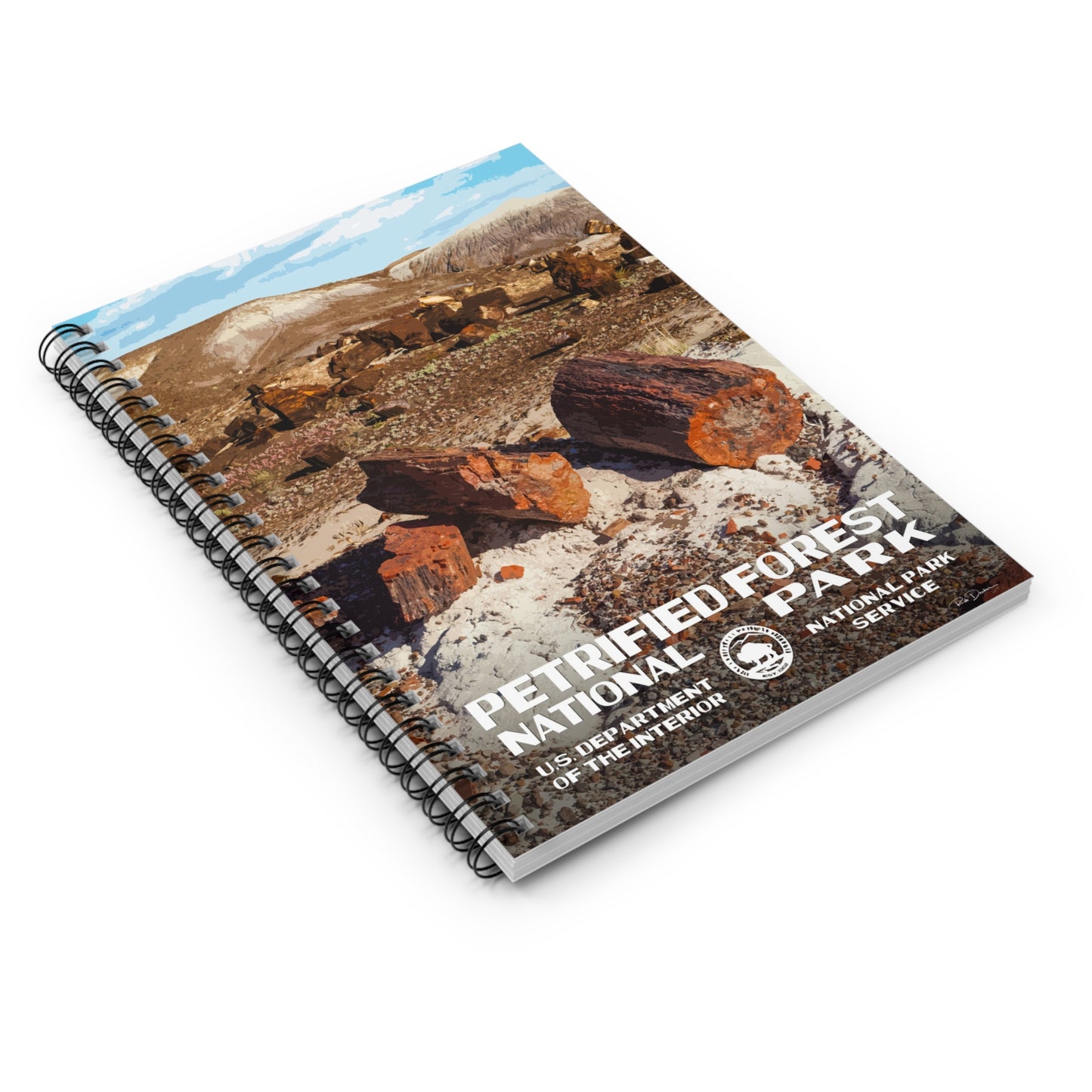 Petrified Forest National Park Field Journal