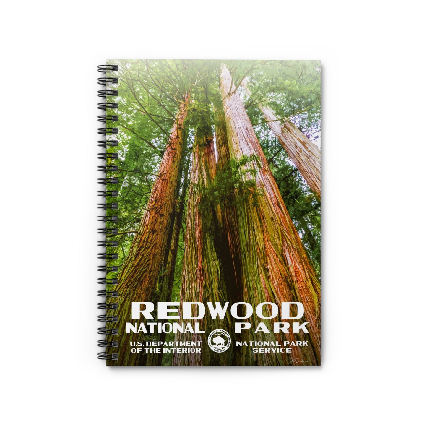 Redwood National Park Field Journal