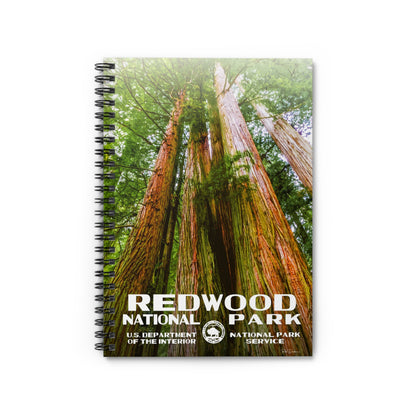 Redwood National Park Field Journal