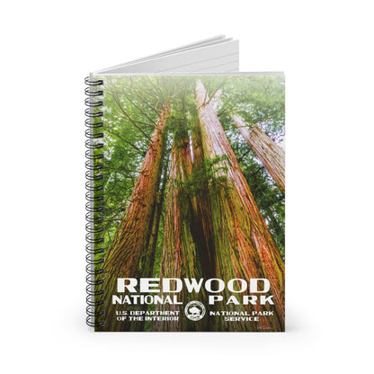 Redwood National Park Field Journal