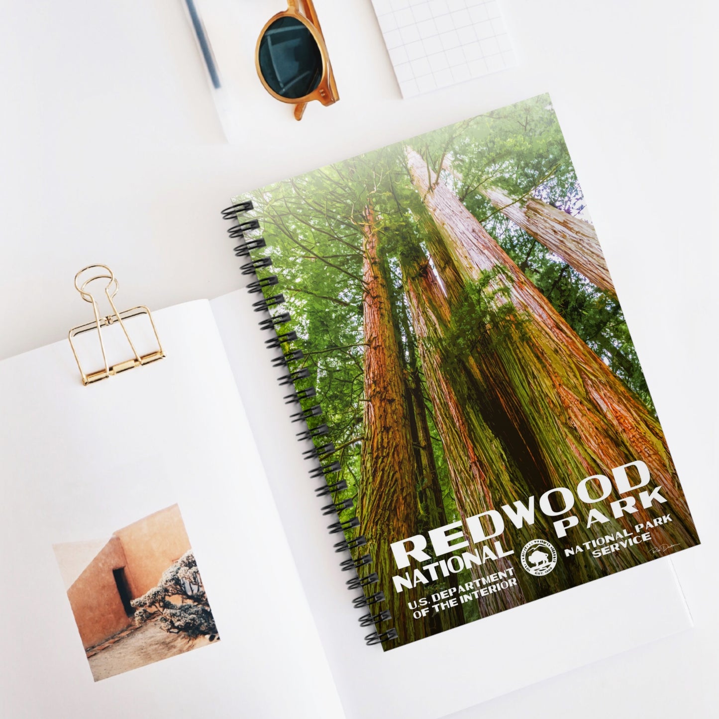 Redwood National Park Field Journal