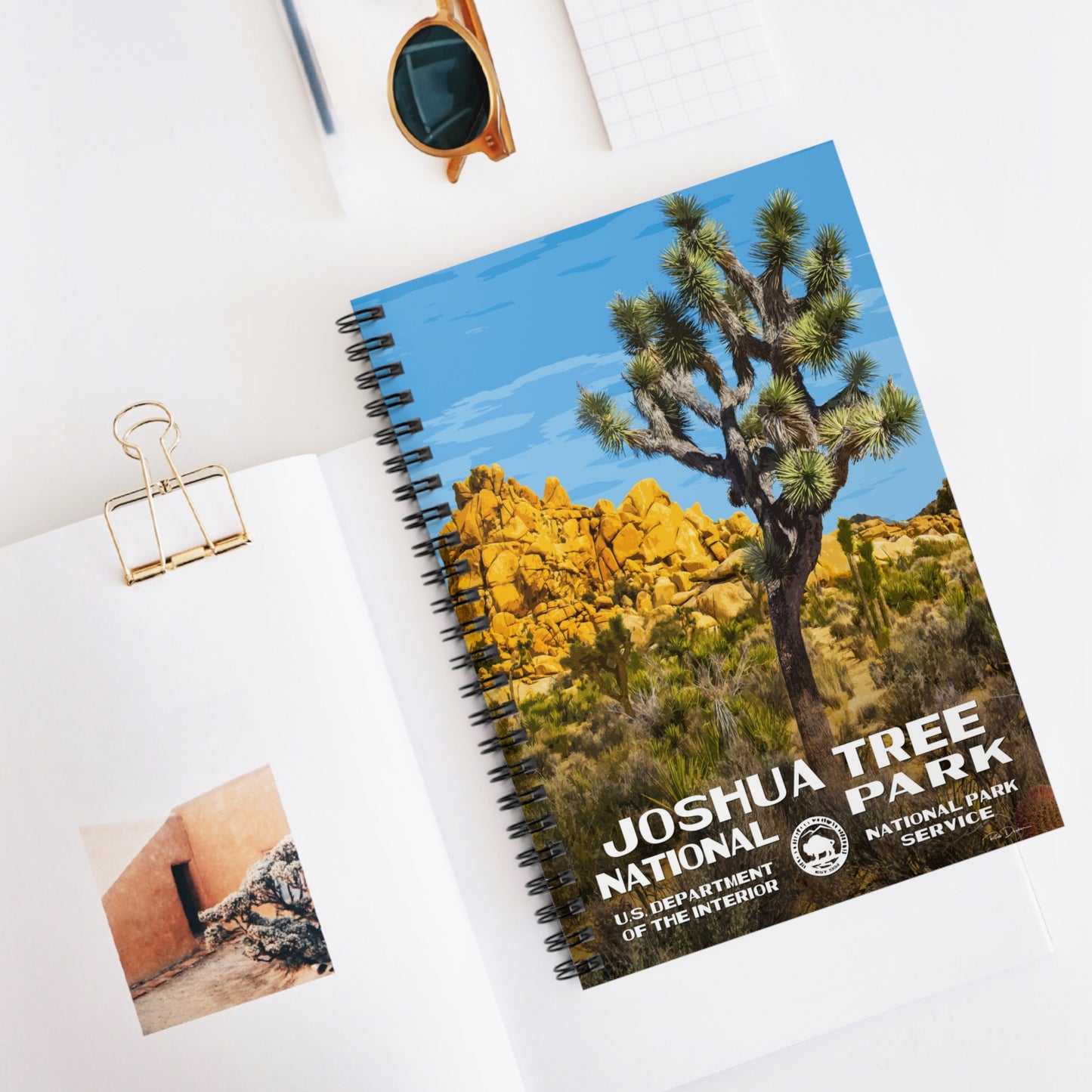 Joshua Tree National Park Field Journal