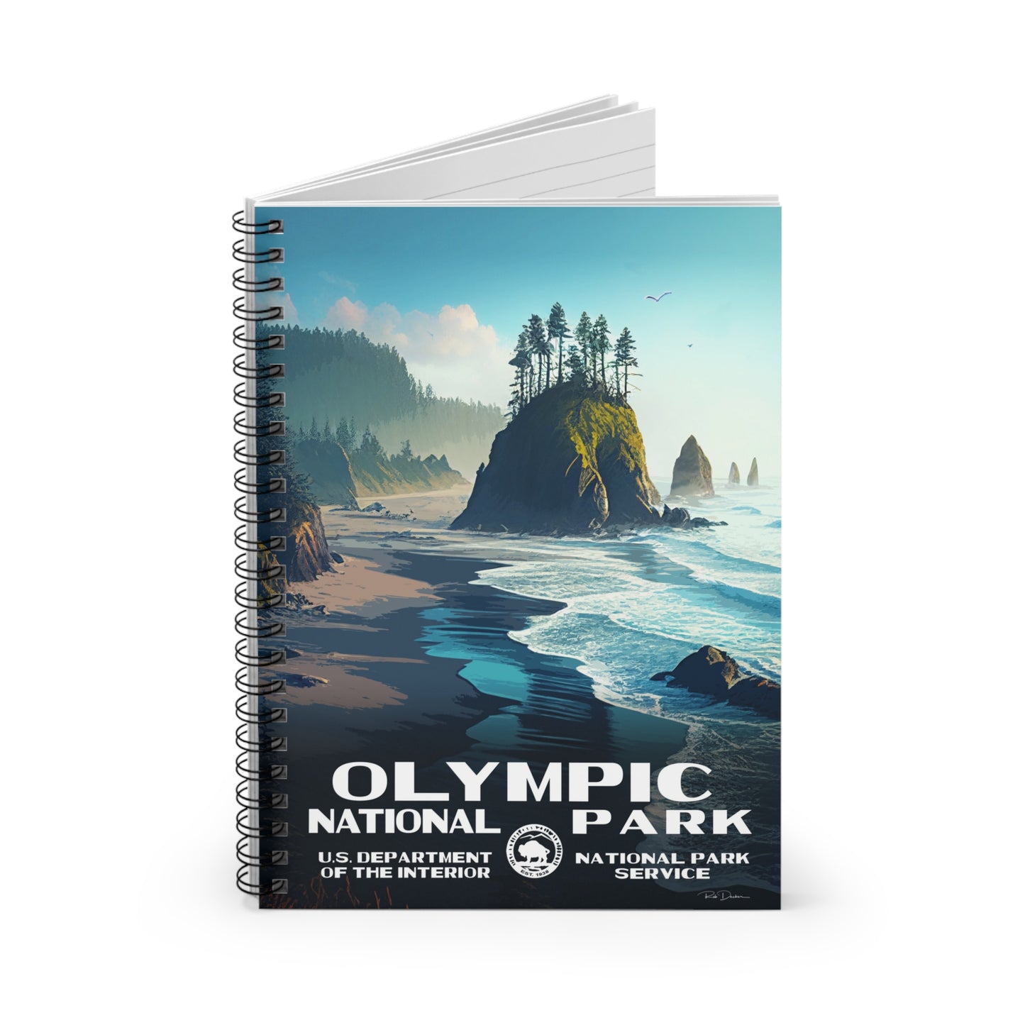 Olympic National Park (Ruby Beach) Field Journal