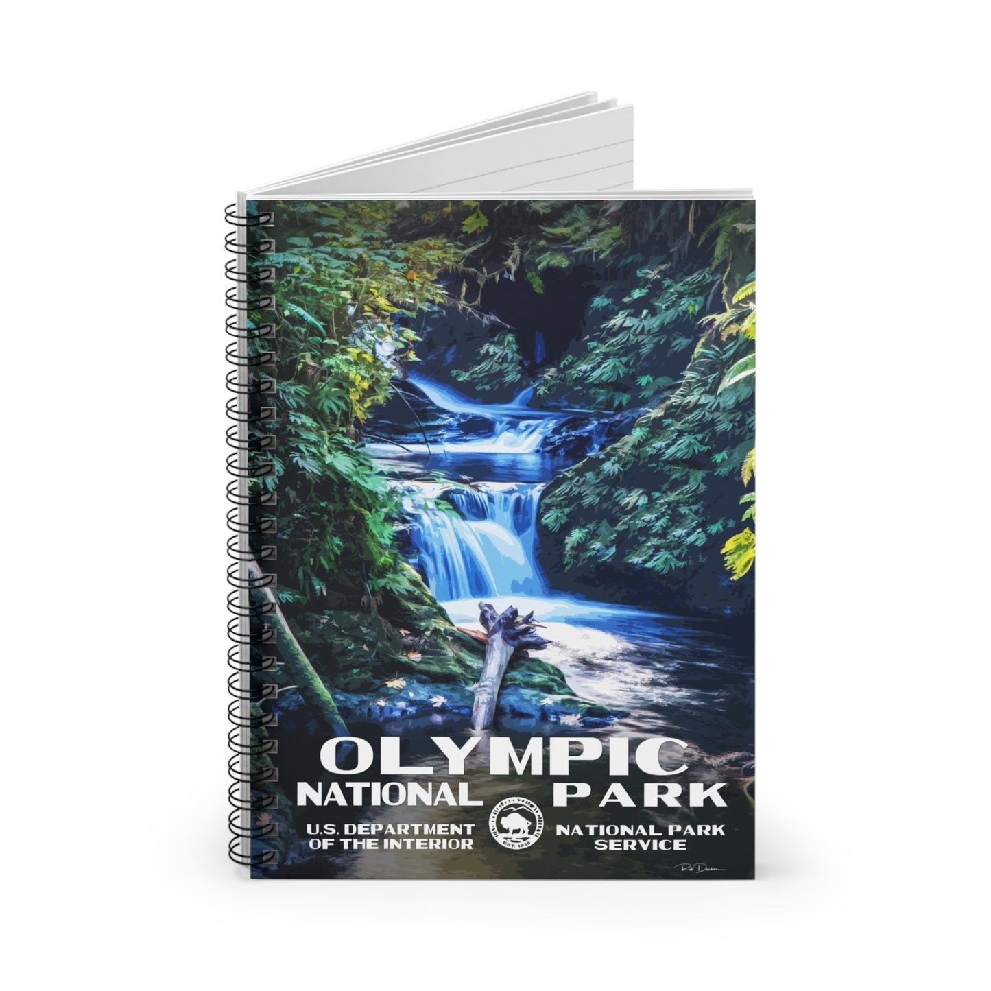 Olympic National Park (Rainforest) Field Journal