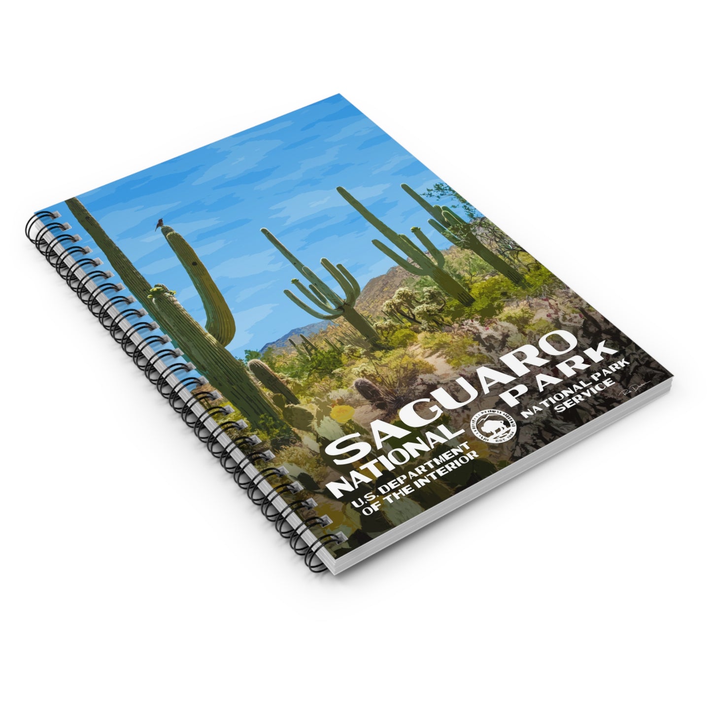Saguaro National Park Field Journal