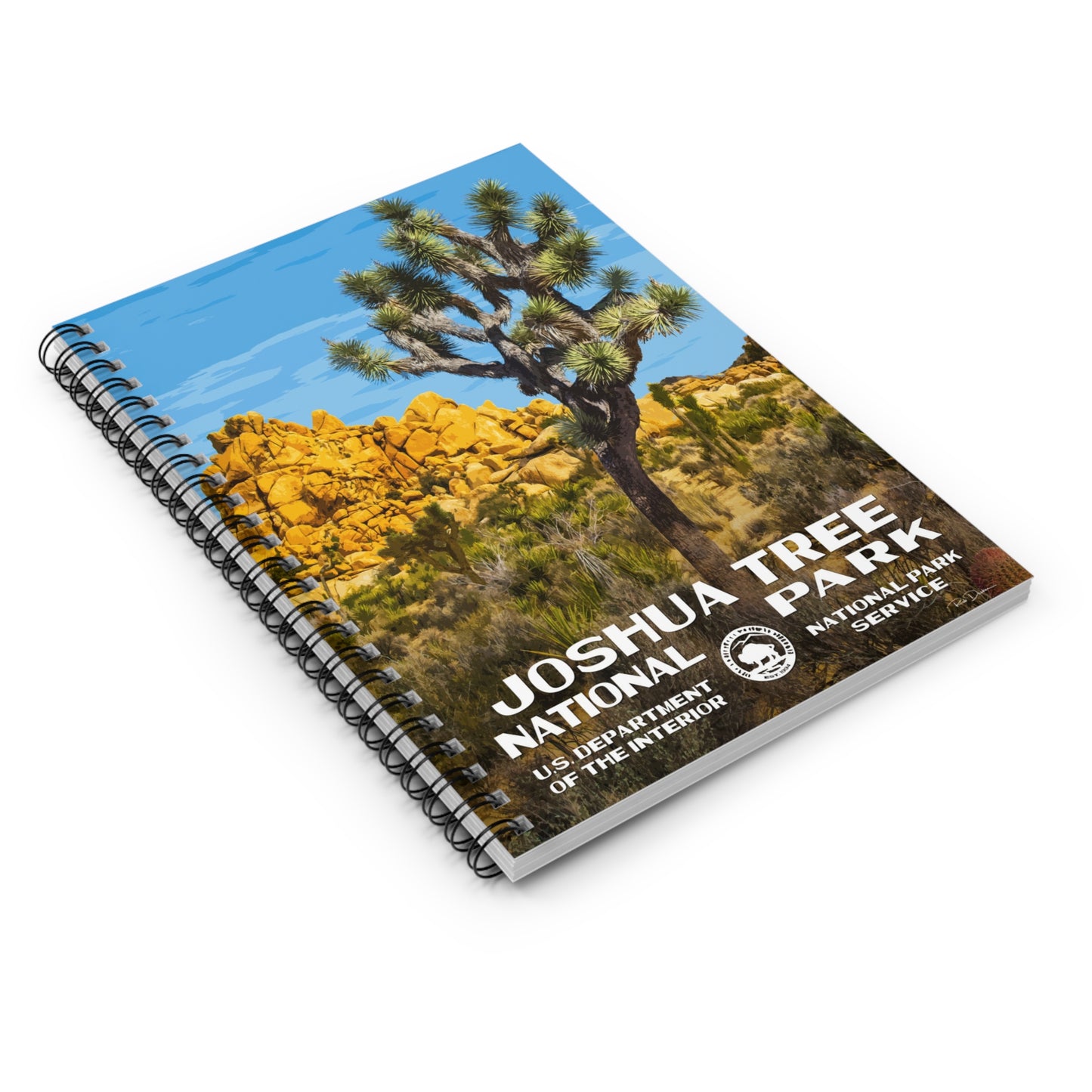 Joshua Tree National Park Field Journal