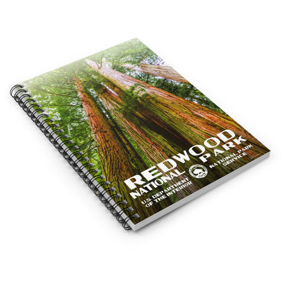 Redwood National Park Field Journal