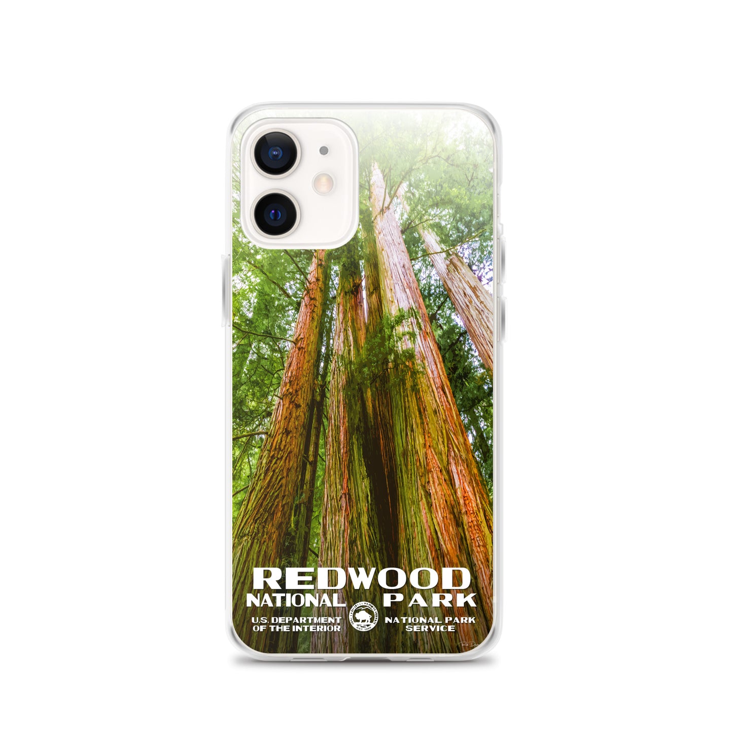 Redwood National Park iPhone® Case